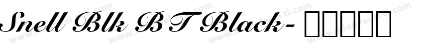 Snell Blk BT Black字体转换